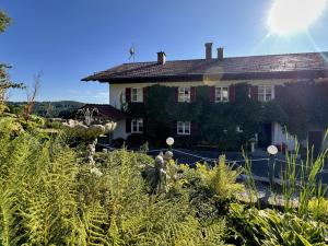 Κήπος έξω από το Im Zellertal