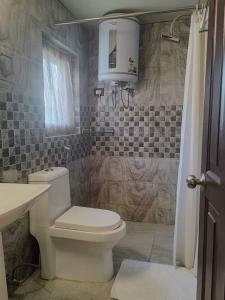 a bathroom with a toilet and a sink and a shower at Whistling Woods Eco Resort 