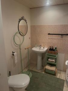 a bathroom with a toilet and a sink and a mirror at Ventlejas in Strakši +23 photos