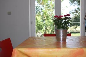 a table with a pot of flowers on top of it at Első Ház Tagyon in Tagyon +14 photos