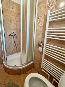 a bathroom with a shower and a toilet at Bettina Vendégház in Sovata +18 photos