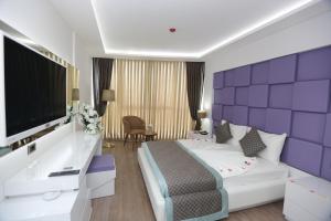 TV a/nebo společenská místnost v ubytování Elips Royal Hotel & SPA