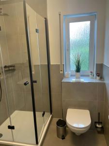a bathroom with a shower and a toilet and a window at Eastside - Apartment WHG 02 in Senftenberg +8 photos