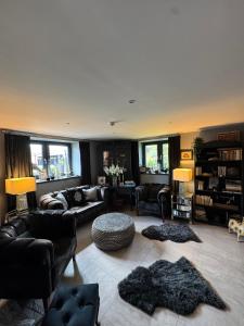 a living room with couches and chairs and windows at Framptons Apartments Garden & Spa - Dla dorosłych i dzieci 12 plus - Adults and children 12 plus in Murzasichle