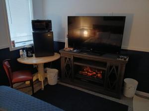 a living room with a television and a fireplace at Aurora Nights in Fairbanks