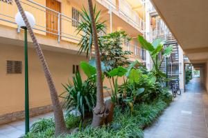 Zahrada ubytování A dos minutos del mar