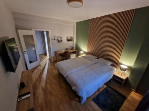 Un dormitorio con cama, escritorio y televisión. en Apartmani i sobe PARK, en Apatin