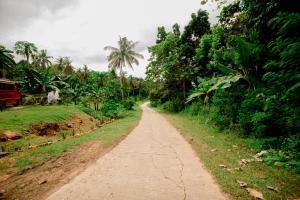 Imagen de la galería de Loboc Nature View House, en Loboc 53 fotos más