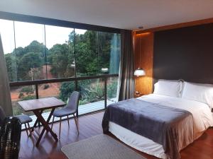 a hotel room with a bed and a large window at Pousada Portal do Céu in Domingos Martins