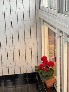 Φωτογραφία από το άλμπουμ του Duplex tx4 στο Μπισσάου
