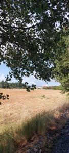 Fotografie z fotogalerie ubytování Rustic Tale Guesthouse v destinaci Tale