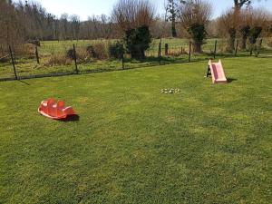 dos niños jugando en un campo de hierba en Gîte - Le Clos de R & R, en Cambron