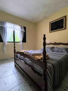 a bedroom with a bed and a window at Hospedaria Allecrim in Santo André +8 photos