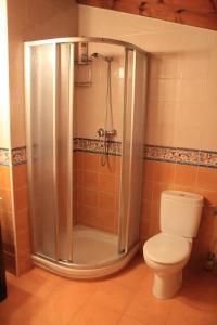 a bathroom with a shower and a toilet at Apartamentos Los Rosales in Ponga