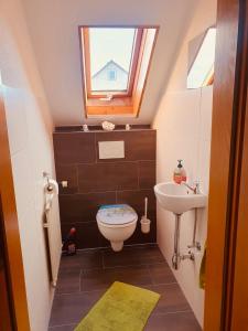 a small bathroom with a toilet and a sink at Ferienwohnung Sulzfeld - Liebevoll eingerichtete Ferienwohnung in Sulzfeld im Grabfeld in Sulzfeld (im Grabfeld)