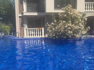 a house with a blue swimming pool in front of a house at Flat in Cascadas 21 in Sunny Beach