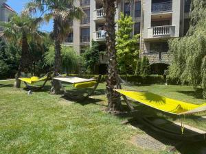 a row of hammocks on the grass in front of a building at Flat in Cascadas 21 in Sunny Beach