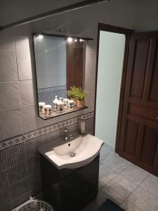 a bathroom with a sink and a mirror at De l'îlet au Volcan in Basse-Terre
