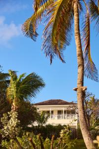 Gallery image of Sharon's Home in Harbour Island