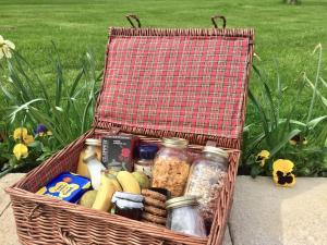 Jídlo v apartmánu nebo okolí + 15 fotografií