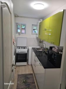 une petite cuisine avec une cuisinière et des armoires vertes dans l'établissement Apartament Central Slanic-Moldova, à Slănic-Moldova