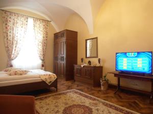een slaapkamer met een bed en een tv in een kamer bij Gothic House in Sibiu