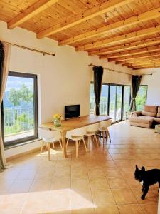 a black cat standing in a living room with a table at ōku in Monchique