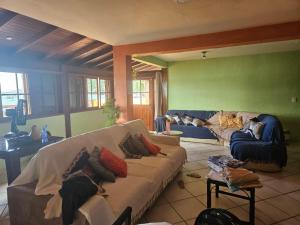 a living room with two couches and a green wall at Aspidiske in Governador Celso Ramos