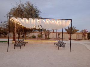 a group of benches sitting under a canopy with lights at استراحة الشاهين in Ras al Khaimah