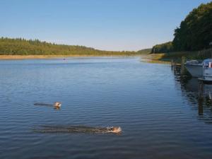 Photo de la galerie de l'établissement Exklusives Schwedenhaus in Mirow, à Granzow