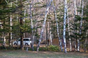 Příroda nedaleko kempu + 2 fotografie