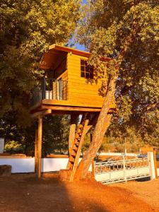 Galeriebild der Unterkunft Nature Tourism Quinta Nova in Castanheira de Pêra