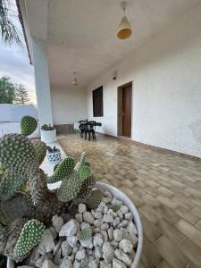 a patio with cacti and rocks in a pot at Mori & Zagara in Fanusa