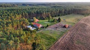 Lanskap alam di dekat farm stay