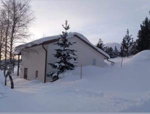 a snow covered building with a tree in front of it at Vikendica Ivan Blidinje in Blidinje
