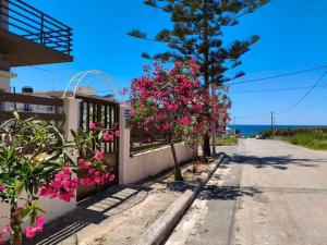 a fence with pink flowers on the side of a road at Vion Place Marathopoli in Marathopoli