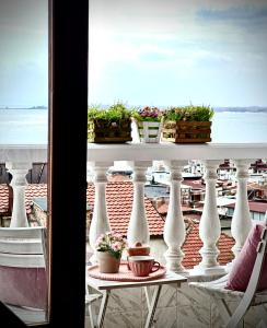 a balcony with a table with potted plants on it at Villa Nikoleta in Sveti Vlas