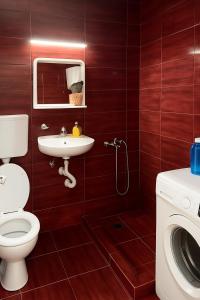 Garsonjera Ulcinj Povoljno! tesisinde bir banyo