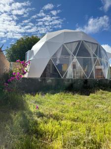 Κήπος έξω από το Tihi glamping club