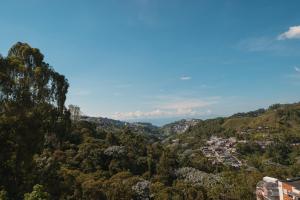 Φυσικό τοπίο κοντά σε αυτό το διαμέρισμα