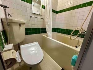 a bathroom with a toilet and a green and white at Coop Sunlight - Vacation STAY 19687 in Sapporo +11 photos
