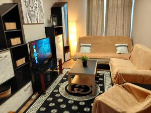 TV a/nebo společenská místnost v ubytování Sunny days -cozy and comfortable apartment