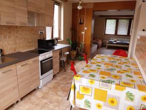 Kuchyň nebo kuchyňský kout v ubytování Apartmány ŠTĚSTÍ