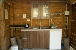a kitchen with a sink and wooden walls at Super cute Treehouse by the river in Mostar