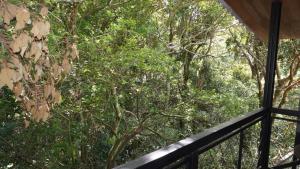 Balkón nebo terasa v ubytování Manakin Lodge, Monteverde