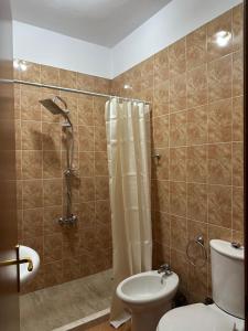 a bathroom with a shower and a toilet and a sink at Turdiu center apart in Tirana