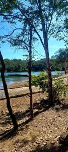 a group of trees in front of a body of water at Los Arboles - Quarto com Banheiro in Alexânia