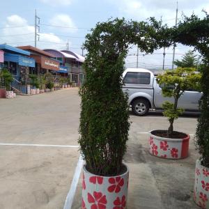 Foto dalla galleria di Muean Fhan Resort Aranyaprathet a Aranyaprathet