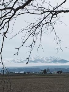a view of snow covered mountains from a tree at easelog 中富良野山居木屋 距離富良野滑雪场15分钟車程 in Nakafurano +44 photos