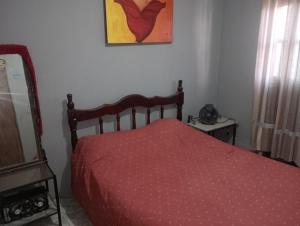 a bedroom with a bed with a red comforter at Casa Marcelo in Salta